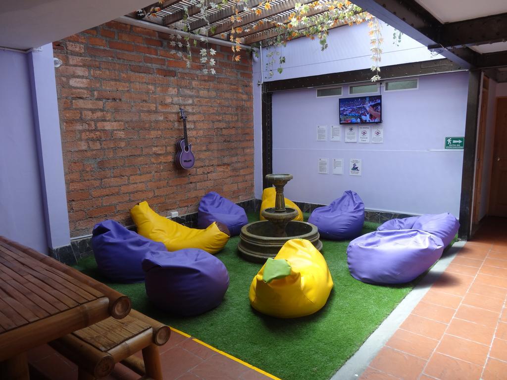 Hostal Purple Monkey *