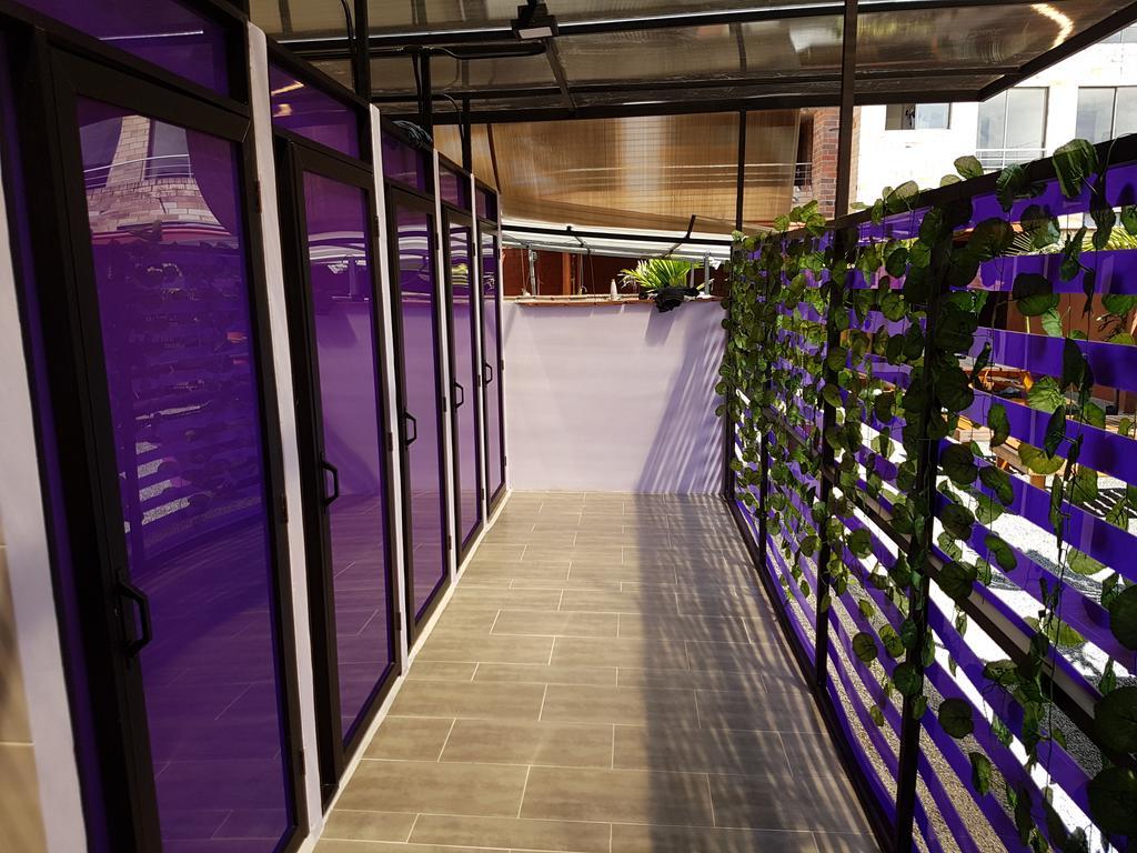 Hostal Purple Monkey *